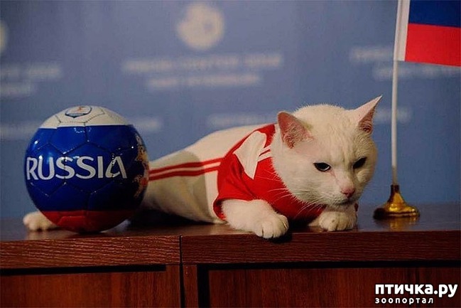 ���� 23: ���� -����������