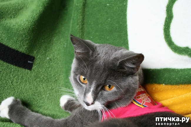 ���� 24: ���� -����������