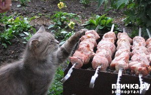 ����: �������� ������. � ��� �� ��� ����� ��������? ��������� ����!)))