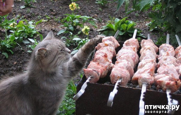 ���� 1: �������� ������. � ��� �� ��� ����� ��������? ��������� ����!)))