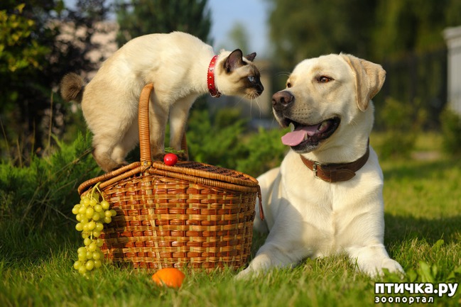 ���� 3: �������� ������. � ��� �� ��� ����� ��������? ��������� ����!)))