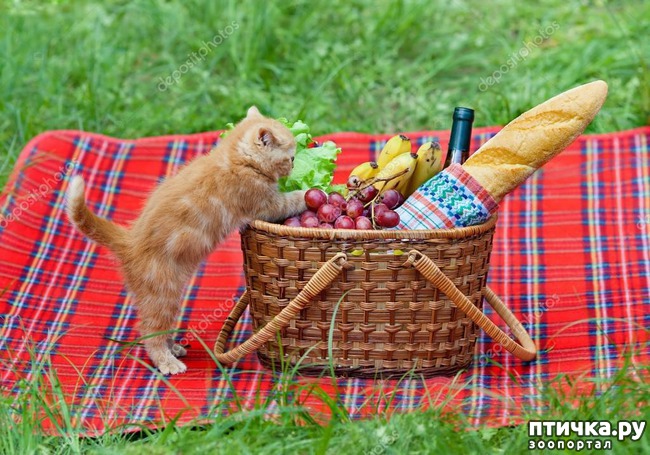 ���� 14: �������� ������. � ��� �� ��� ����� ��������? ��������� ����!)))