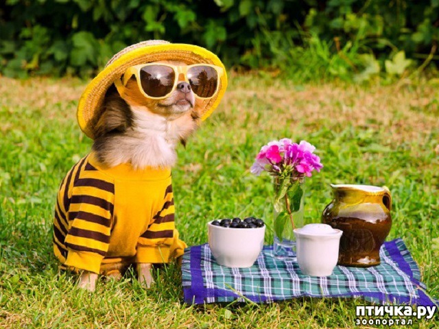 ���� 15: �������� ������. � ��� �� ��� ����� ��������? ��������� ����!)))