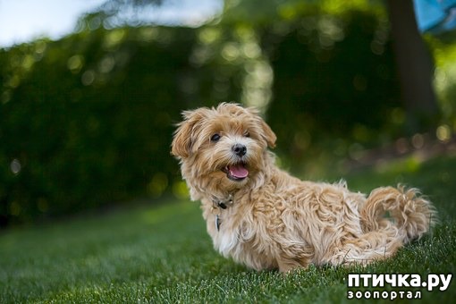 ���� 3: ���� �������: ��� �������� ��������� � �������� ���� ���������