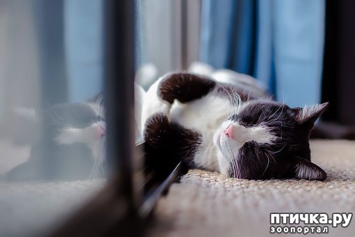 ���� 2: ���� �������: ��� �������� ��������� � �������� ���� ���������