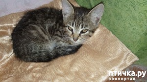 ����: ���� ��� ��� �����. �������.