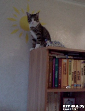 ����: ������� ����������� ������������ (������� �� ����������)!