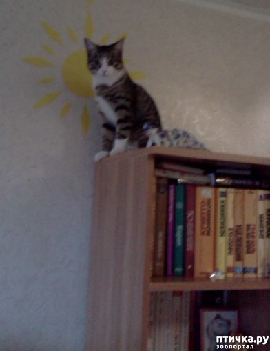 ���� 1: ������� ����������� ������������ (������� �� ����������)!