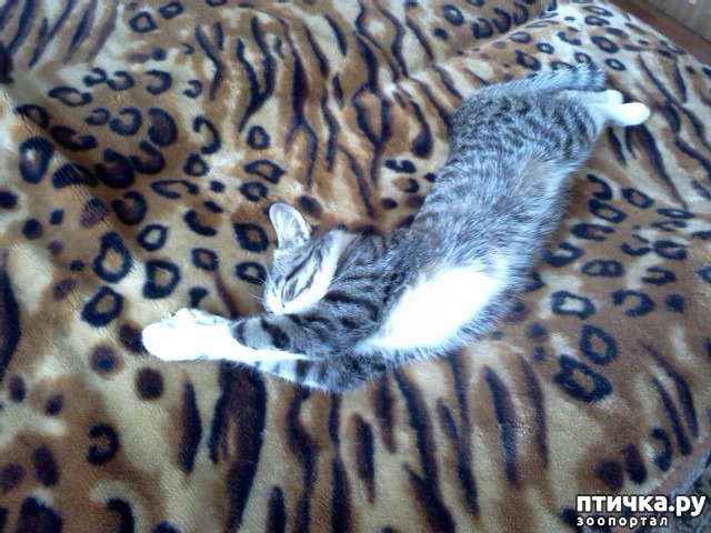 ���� 3: ������� ����������� ������������ (������� �� ����������)!