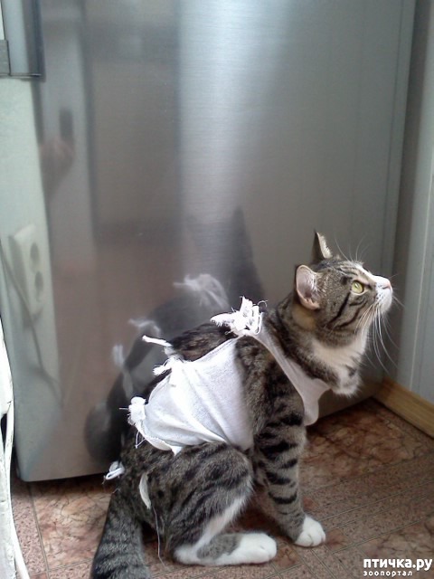 ���� 5: ������� ����������� ������������ (������� �� ����������)!