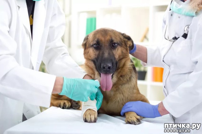 ���� 1: ������� ������. ��������� � ����������, ��?