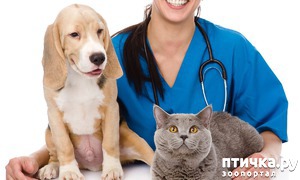 ����: ���������� ���� ����. ��� ��� �� �� �����