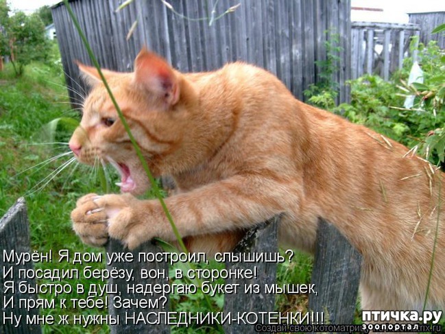 ���� 3: ��������� �����������: ��� � ������-1.