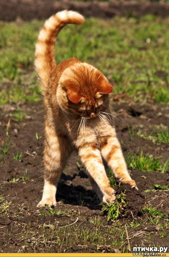 ���� 4: ��������� �����������: ��� � ������-1.