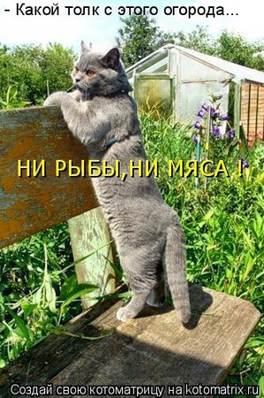 ����: ��������� �����������: ��� � ������-1.