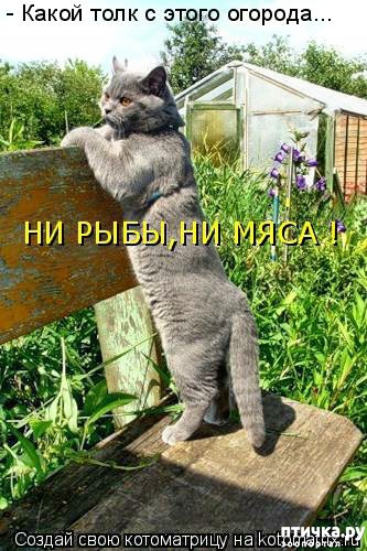 ���� 1: ��������� �����������: ��� � ������-1.