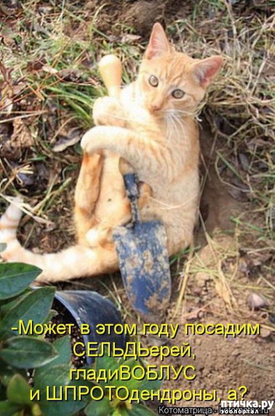 ���� 8: ��������� �����������: ��� � ������-1.