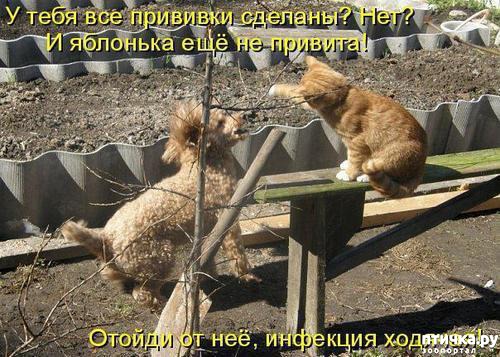 ���� 9: ��������� �����������: ��� � ������-1.