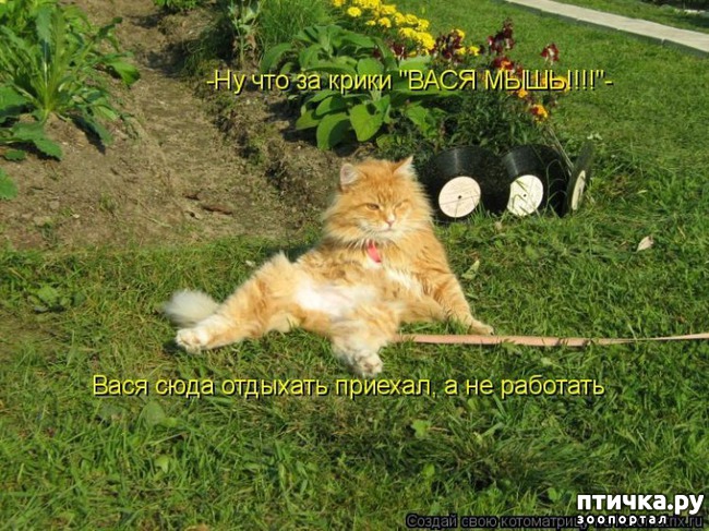 ���� 14: ��������� �����������: ��� � ������-1.