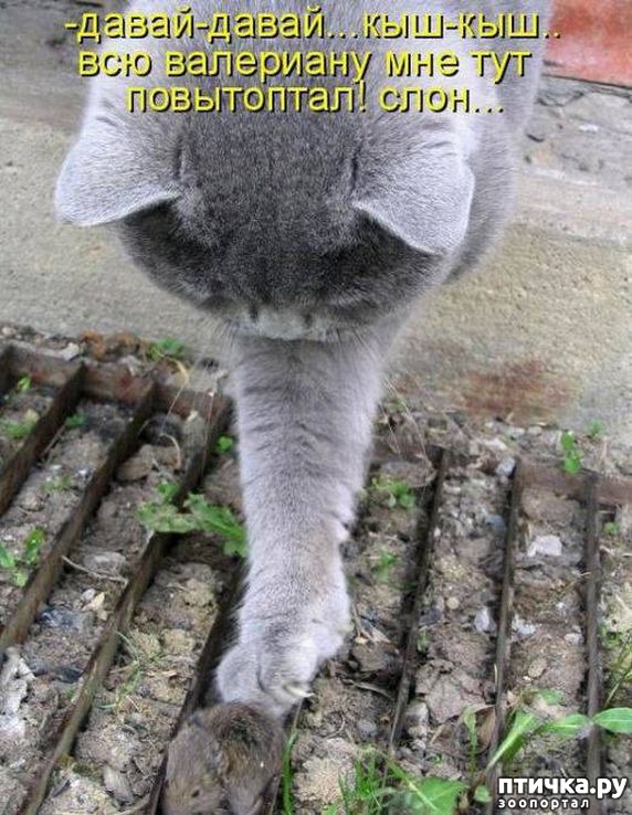 ���� 15: ��������� �����������: ��� � ������-1.