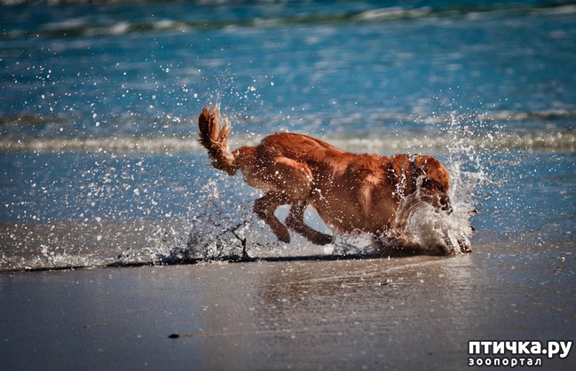 ���� 2: ������ � ����� �� �����)))