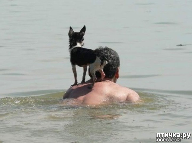 ���� 3: ������ � ����� �� �����)))