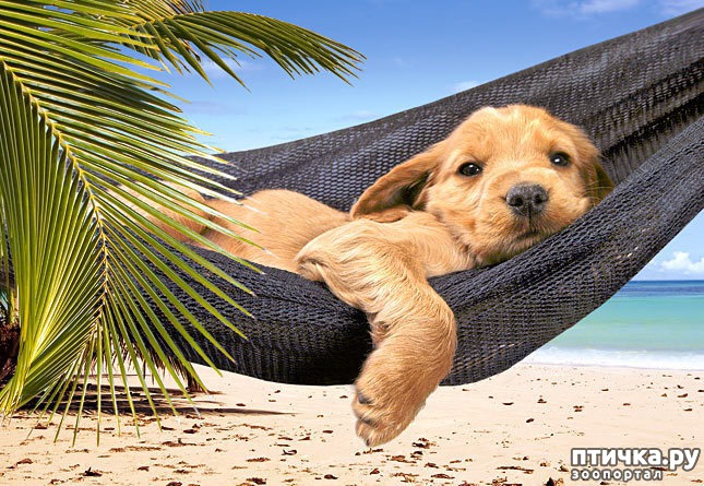 ���� 5: ������ � ����� �� �����)))