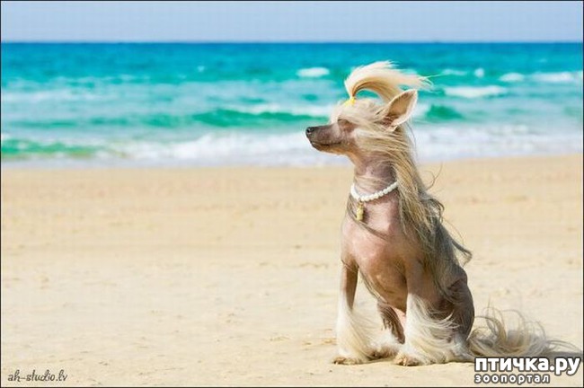 ���� 9: ������ � ����� �� �����)))