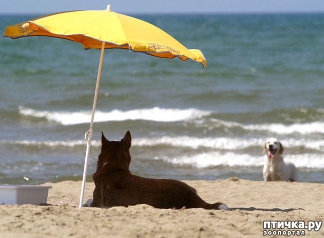 ���� 10: ������ � ����� �� �����)))