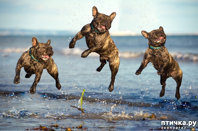 ���� 11: ������ � ����� �� �����)))