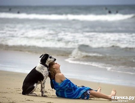 ���� 12: ������ � ����� �� �����)))