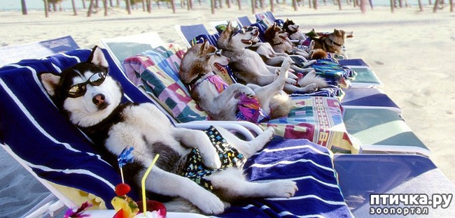 ���� 13: ������ � ����� �� �����)))