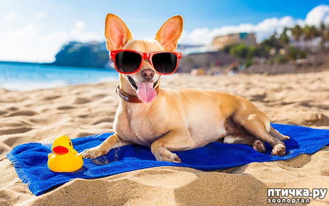 ���� 1: ������ � ����� �� �����)))