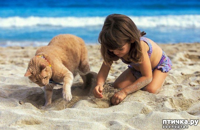 ���� 15: ������ � ����� �� �����)))