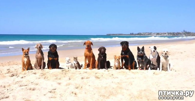 ���� 16: ������ � ����� �� �����)))