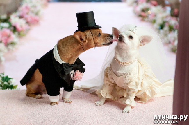 ���� 1: ��������� ���������� �����, ��������� � �����...