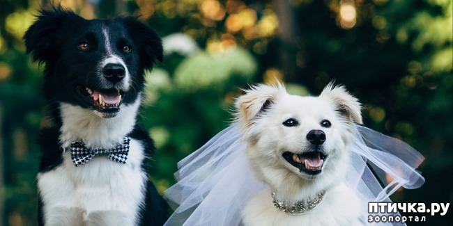 ���� 4: ��������� ���������� �����, ��������� � �����...