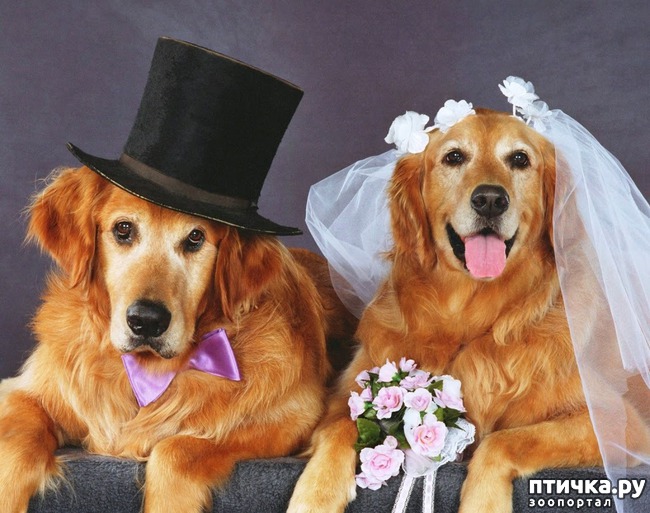 ���� 5: ��������� ���������� �����, ��������� � �����...