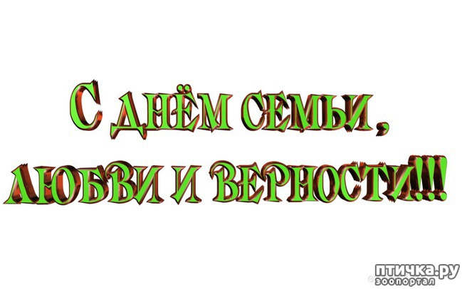 ���� 2: �����, ������ � ��������! � ����������!