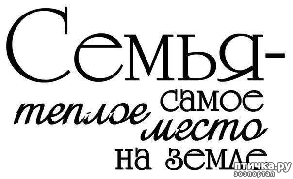 ���� 3: �����, ������ � ��������! � ����������!