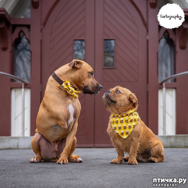 ���� 7: ��������� ���������� �����, ��������� � �����...