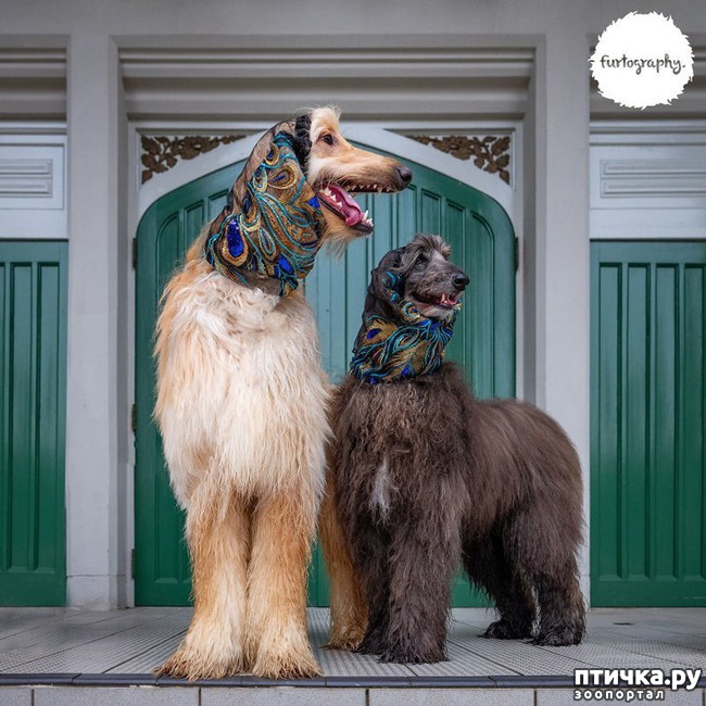 ���� 9: ��������� ���������� �����, ��������� � �����...