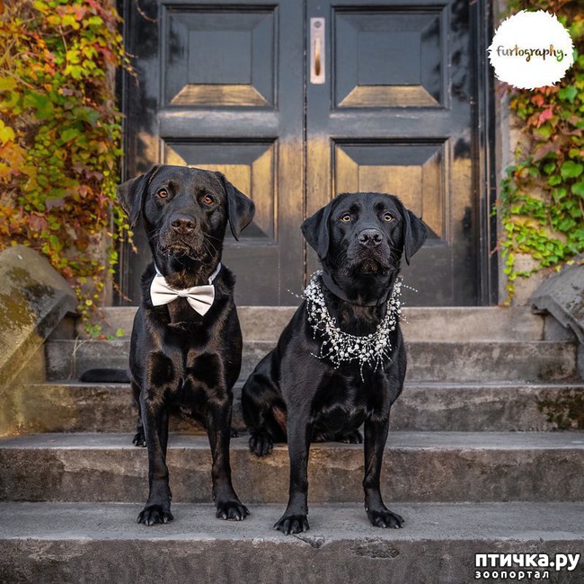 ���� 10: ��������� ���������� �����, ��������� � �����...