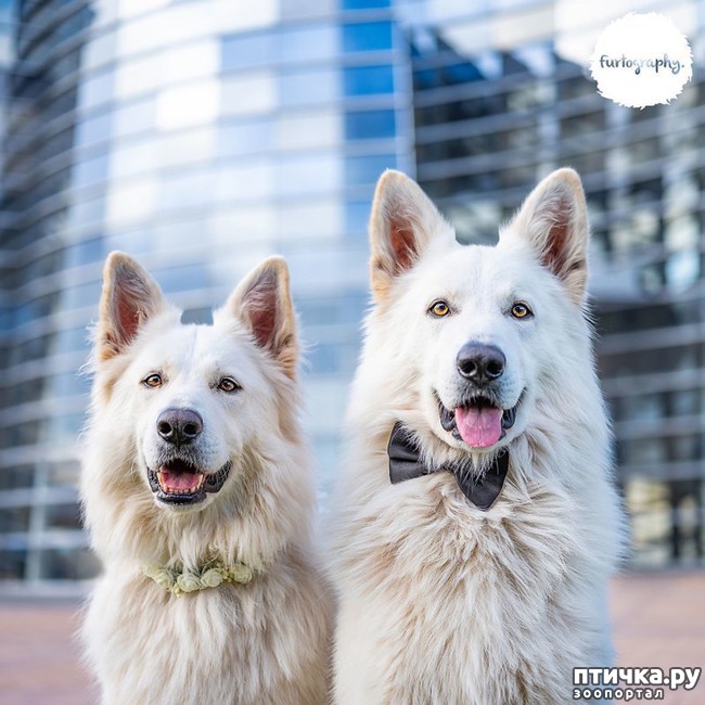 ���� 11: ��������� ���������� �����, ��������� � �����...