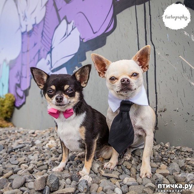 ���� 13: ��������� ���������� �����, ��������� � �����...