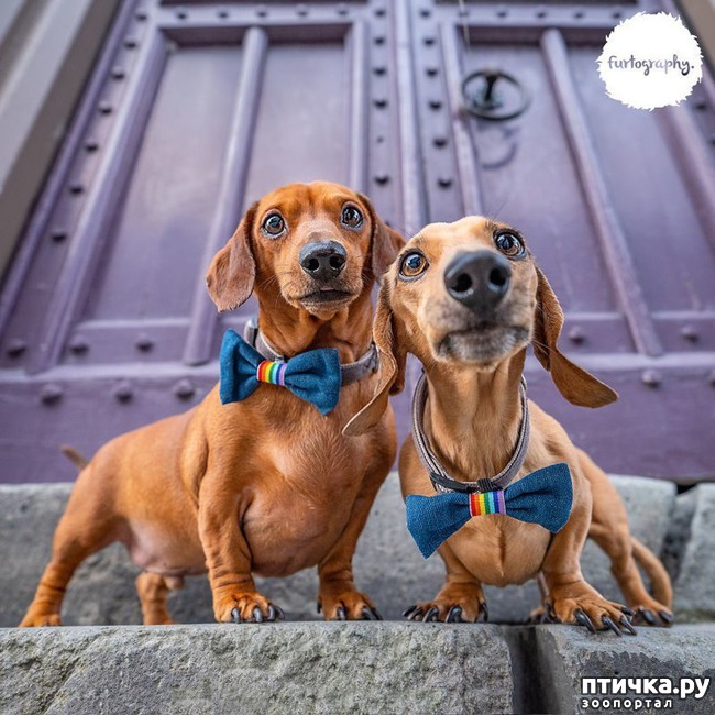 ���� 14: ��������� ���������� �����, ��������� � �����...