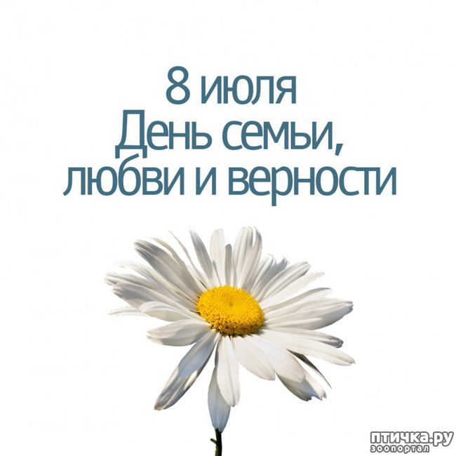 ���� 1: �����, ������ � ��������! � ����������!