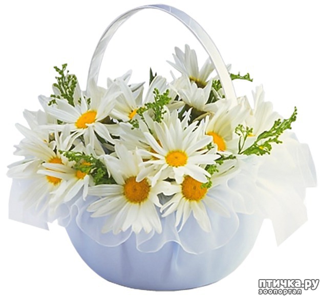 ���� 4: �����, ������ � ��������! � ����������!