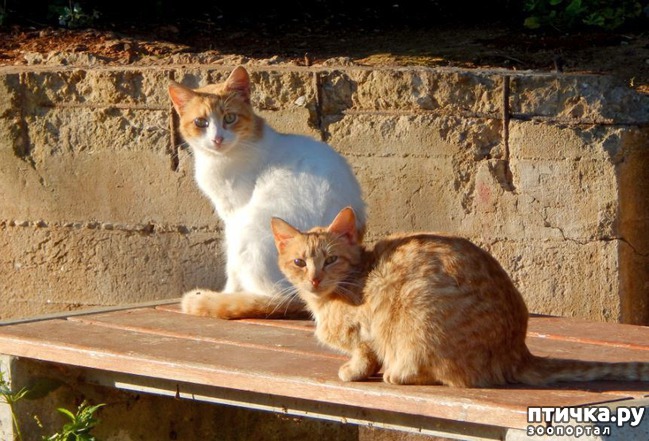 ���� 3: �������-��! � ��������� ����� �������� �������� ��������ܻ!