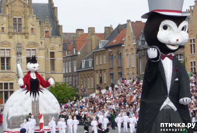 ���� 4: �������-��! � ��������� ����� �������� �������� ��������ܻ!